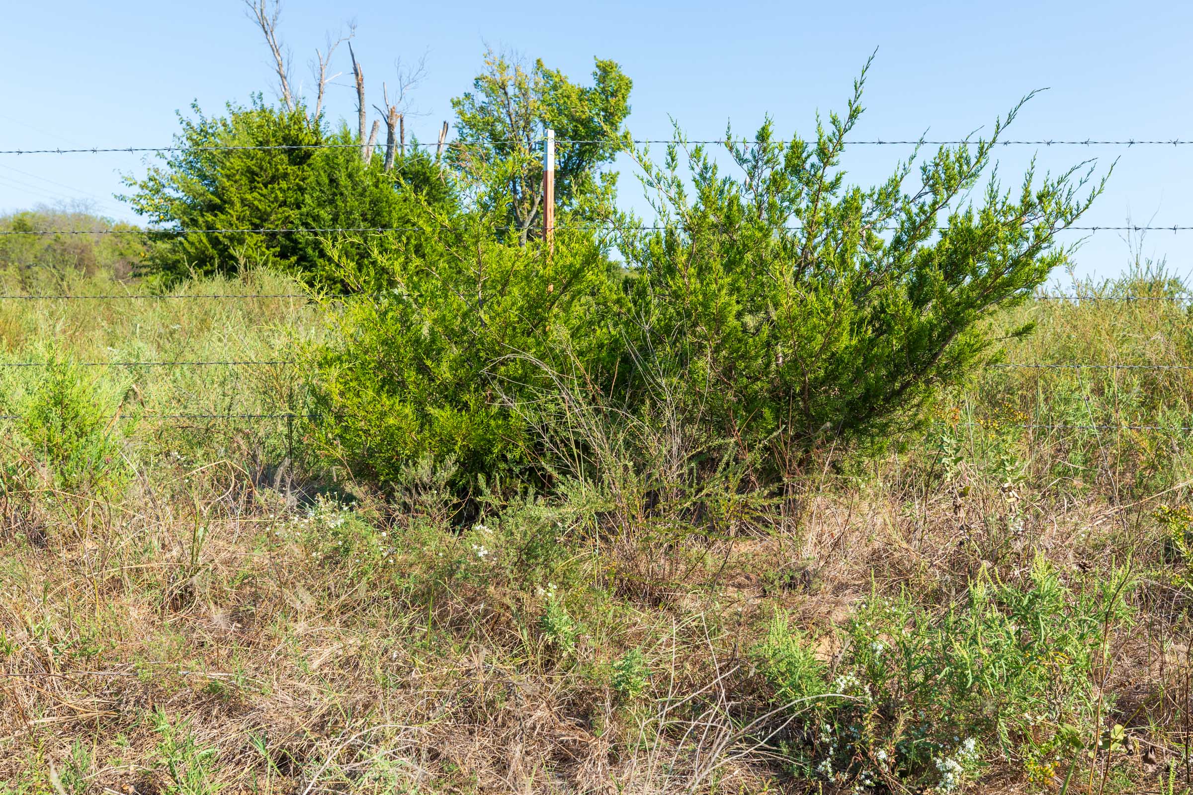 Tract 1 at Canyon Creek in Lincoln County, Oklahoma