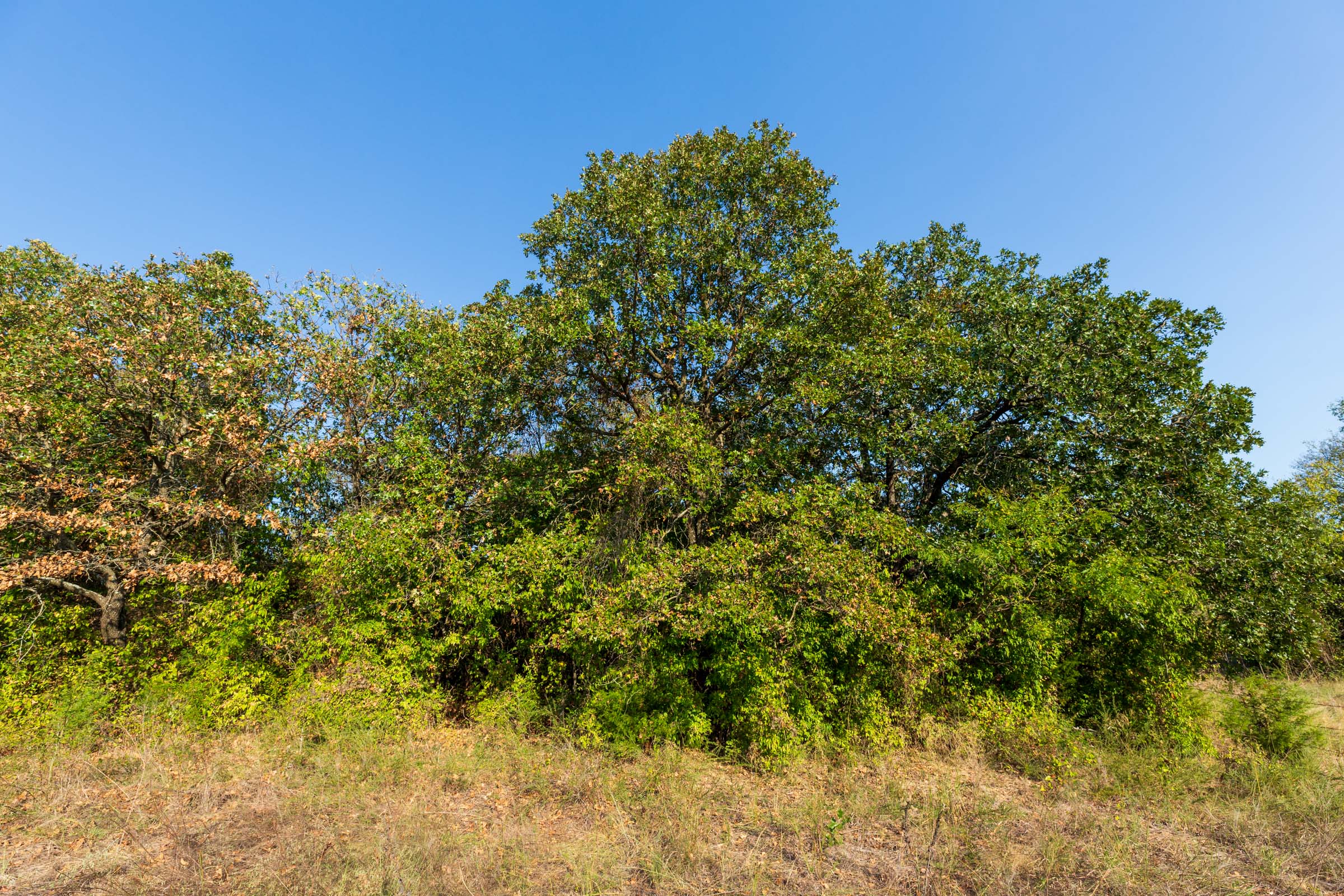 Tract 11 at Canyon Creek in Lincoln County, Oklahoma