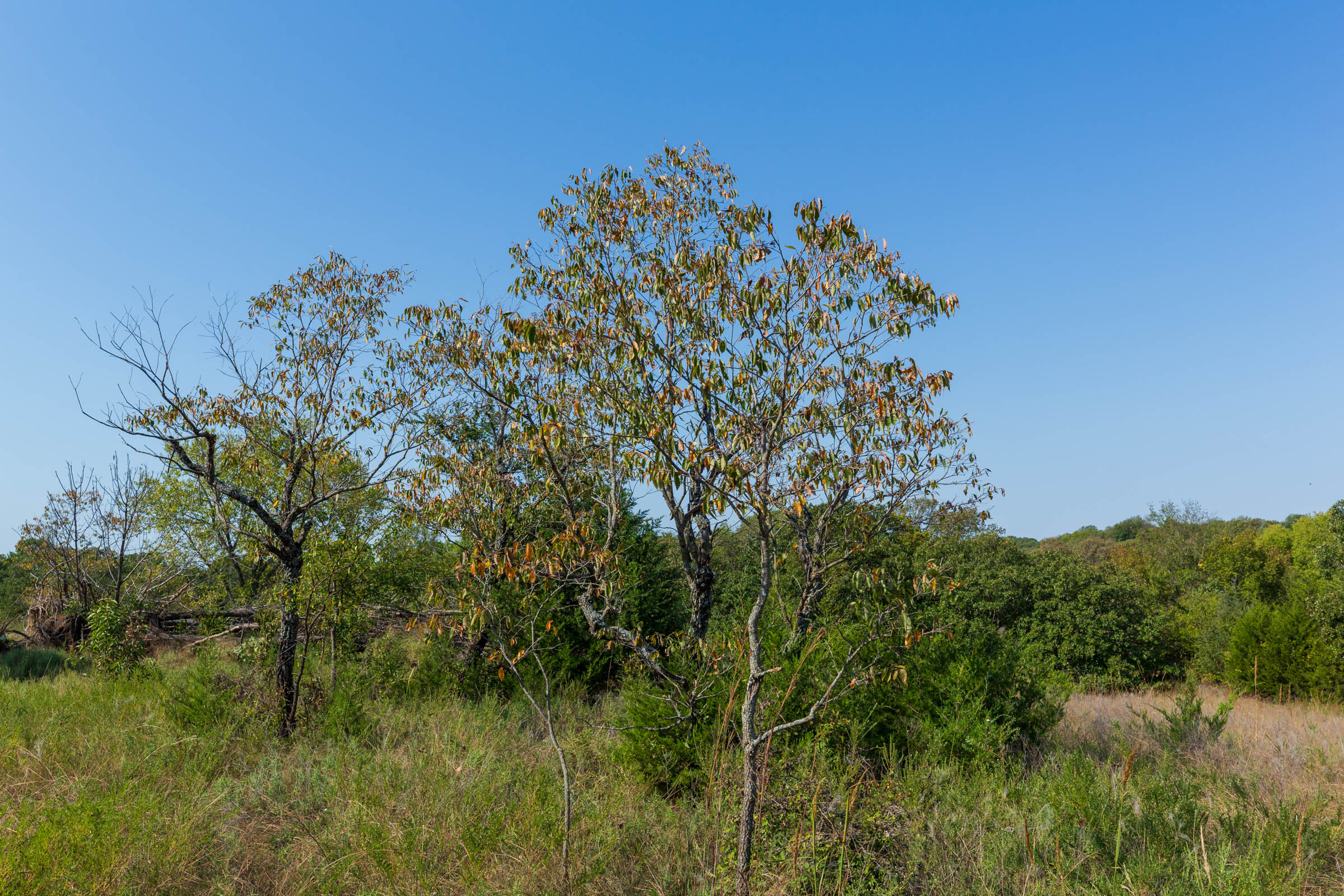 Tract 14 at Canyon Creek in Lincoln County, Oklahoma