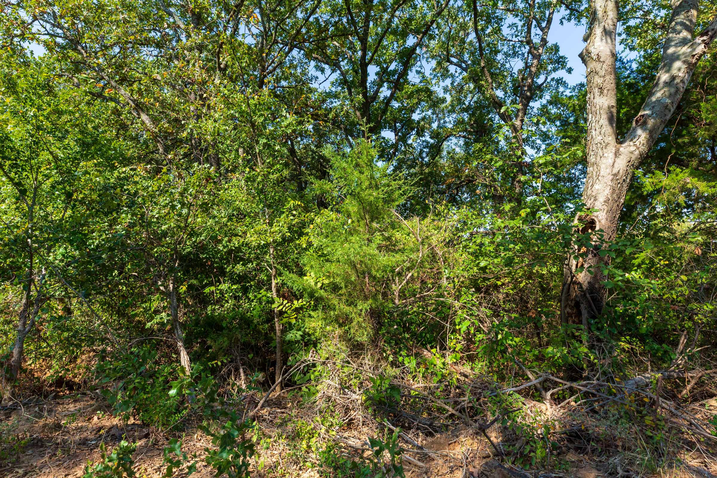 Tract 15 at Canyon Creek in Lincoln County, Oklahoma