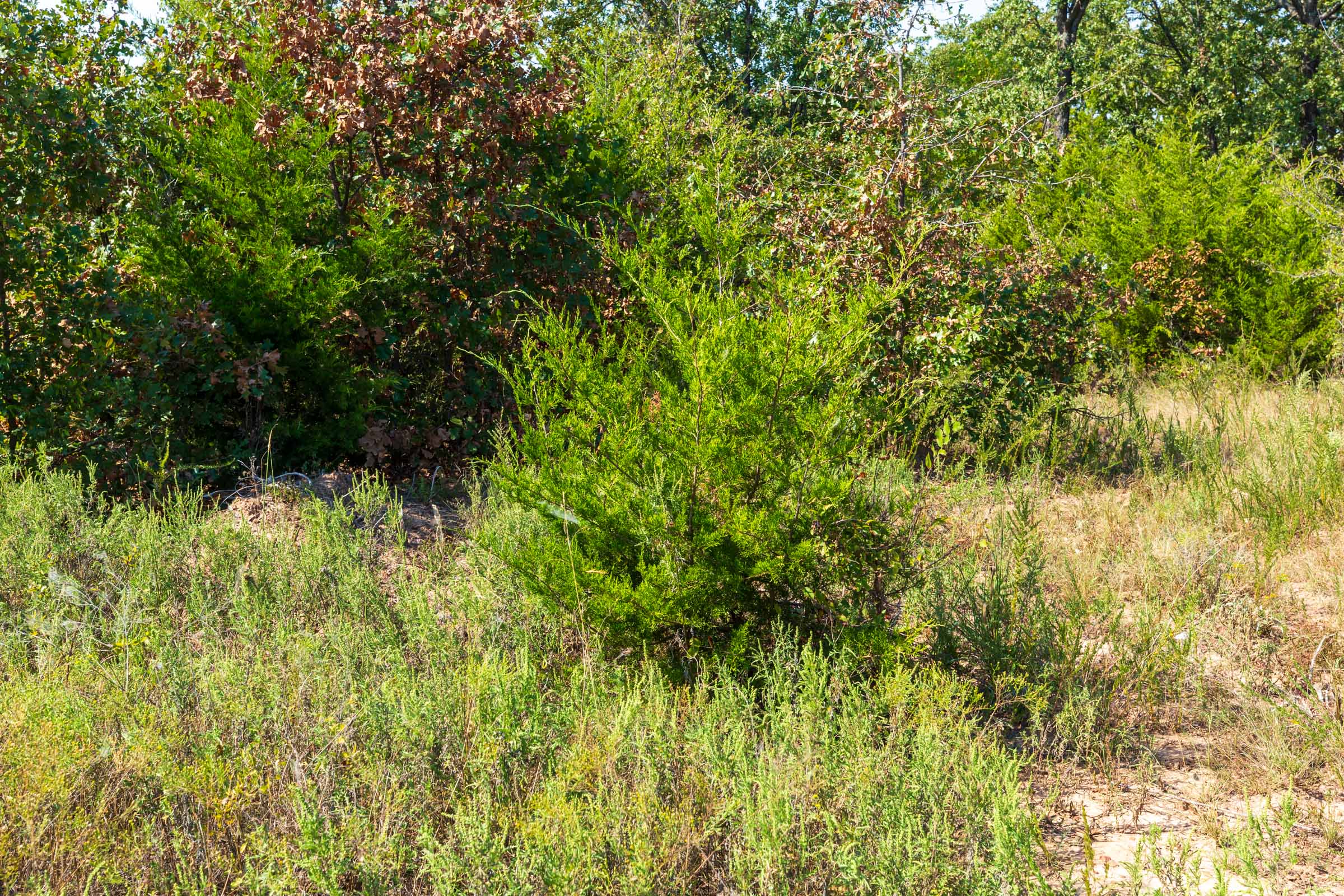Tract 16 at Canyon Creek in Lincoln County, Oklahoma