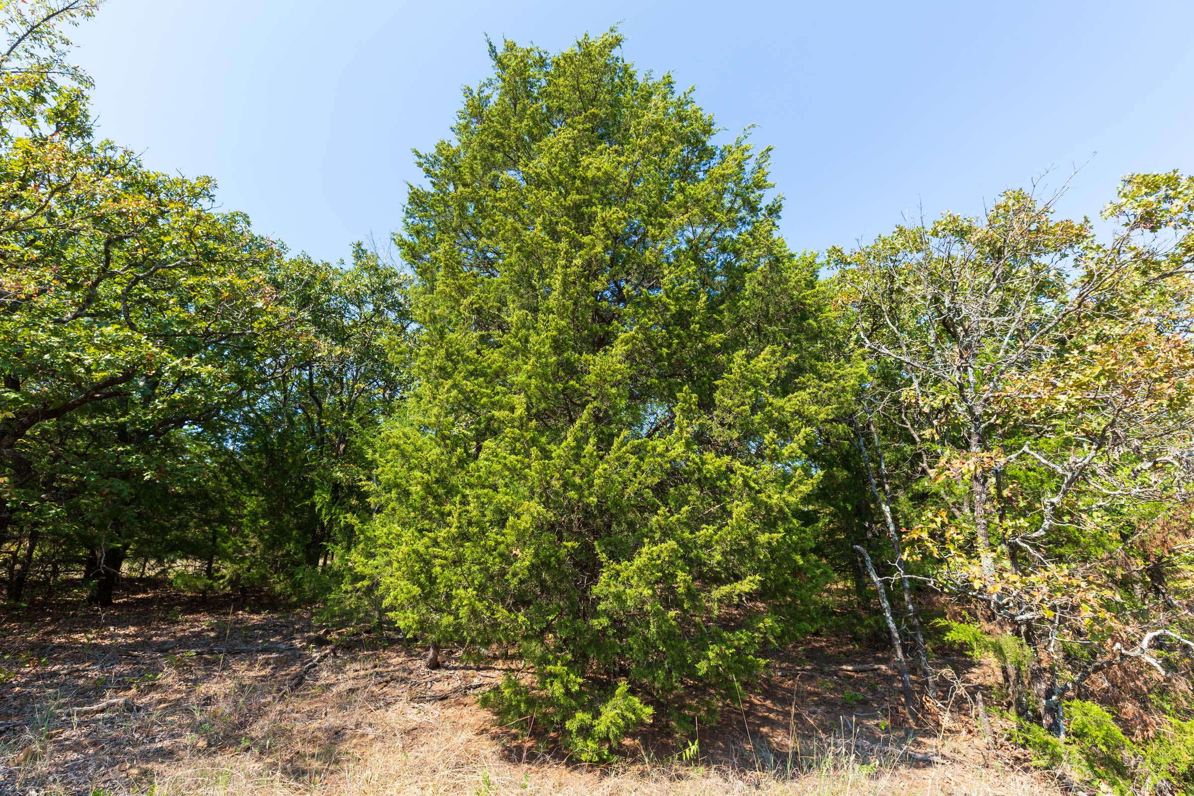 Tract 17 at Canyon Creek in Lincoln County, Oklahoma
