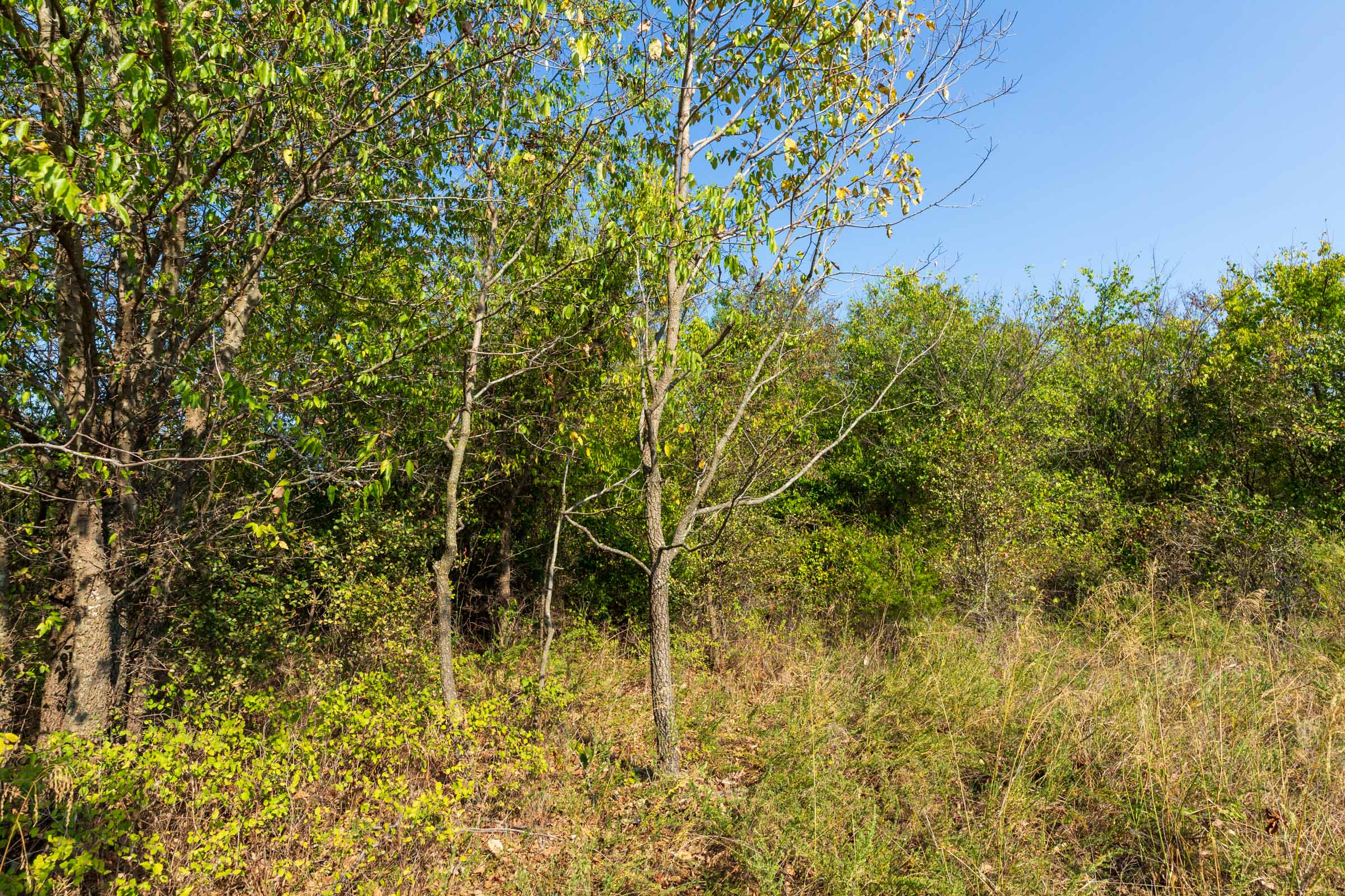 Tract 19 at Canyon Creek in Lincoln County, Oklahoma