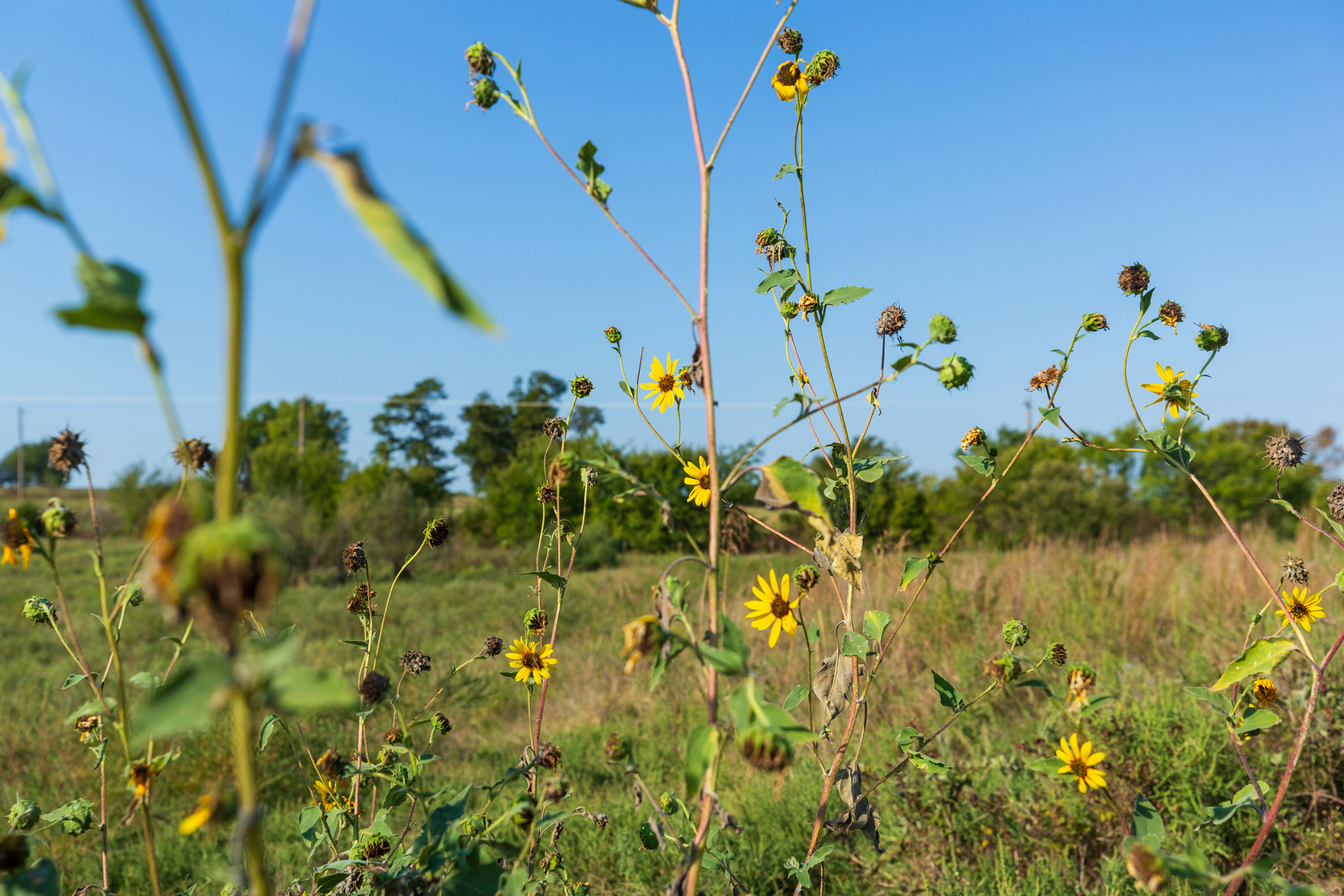 Tract 4 at Canyon Creek in Lincoln County, Oklahoma