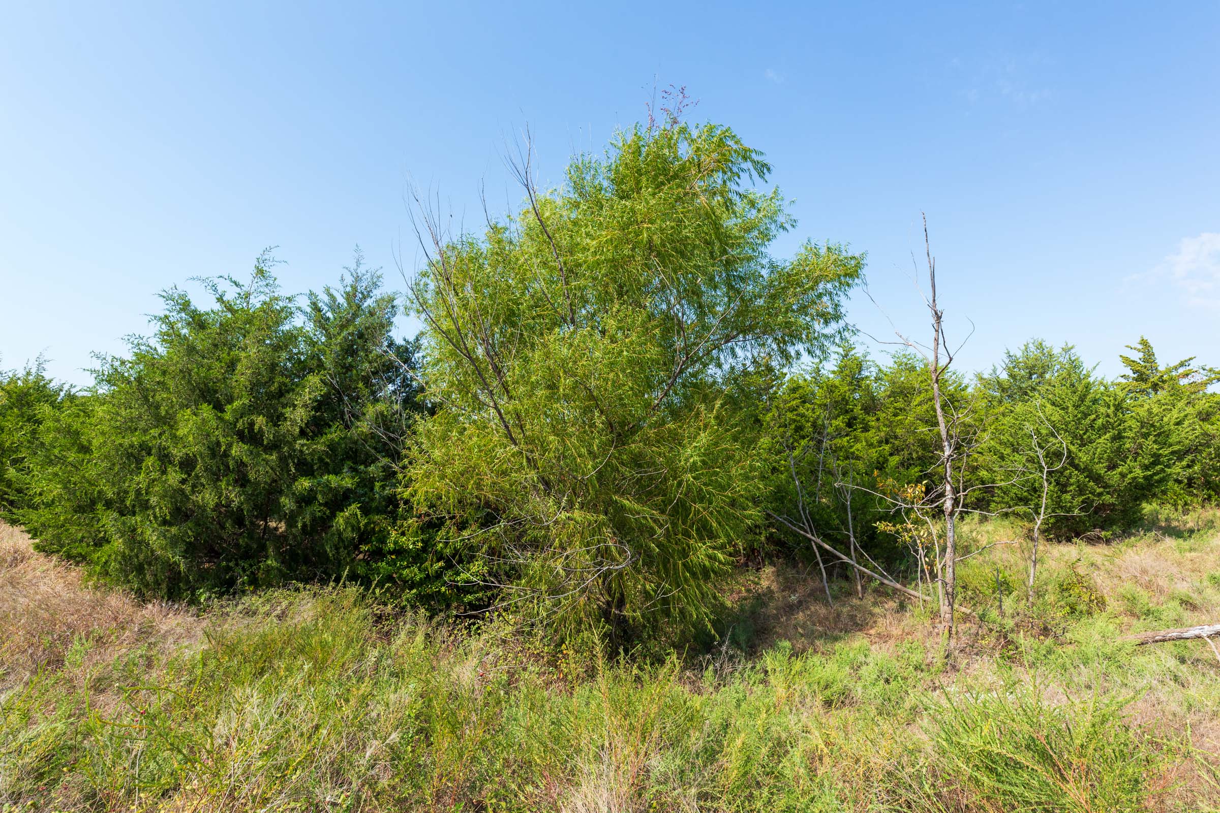 Tract 6 at Canyon Creek in Lincoln County, Oklahoma